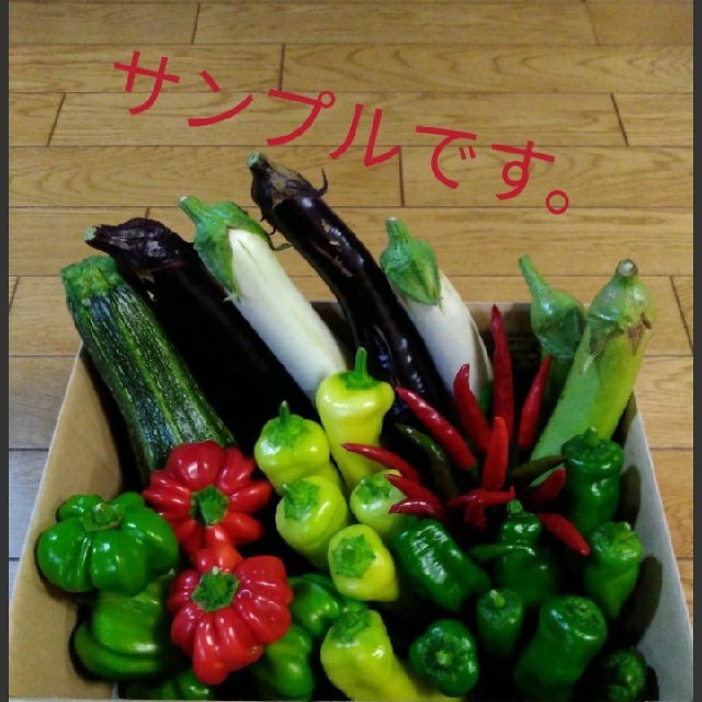 新潟産★越後湯沢★農薬不使用お野菜セット70サイズ 食品/飲料/酒の食品(野菜)の商品写真