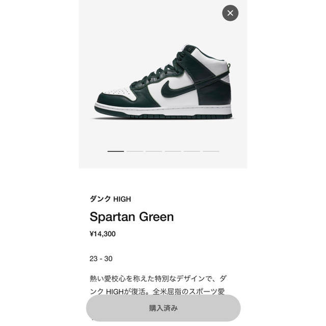 NIKE(ナイキ)のNIKE DUNK HIGH SPARTAN GREEN 28cm メンズの靴/シューズ(スニーカー)の商品写真