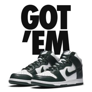 ナイキ(NIKE)のNIKE DUNK HI Spartan Green  26.0(スニーカー)