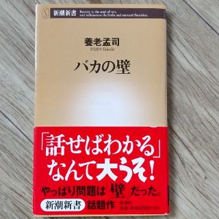 バカの壁 (その他)