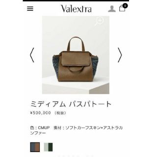 ヴァレクストラ(Valextra)の定価65万 Valextra ヴァレクストラ パスパトートラージ バッグ　極美品(ハンドバッグ)