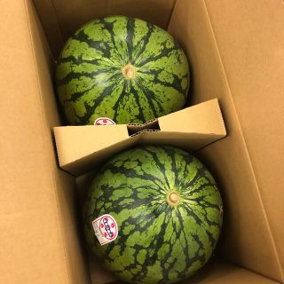 山形県産尾花沢西瓜1箱2個入り(野菜)