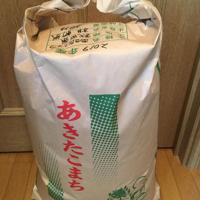 秋田県産　米/穀物　玄米　あきたこまち　2019年度産　30kg
