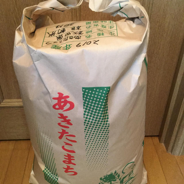 秋田県産 あきたこまち 2019年度産 玄米 30kg 秋田県産 あきたこまち 2019年度産 玄米 30kg