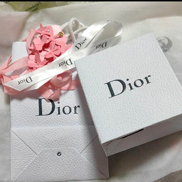 Christian Dior(クリスチャンディオール)のDior ディオール 紙袋 ギフト箱 レディースのバッグ(ショップ袋)の商品写真