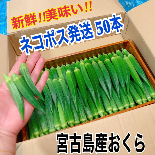 【50本】宮古島産　おくら　オクラ 食品/飲料/酒の食品(野菜)の商品写真