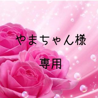 やまちゃん様専用　お米　令和2年　愛媛県産あきたこまち　白米　20㎏(米/穀物)