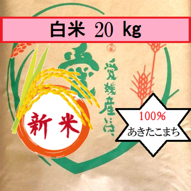 お米　令和2年　愛媛県産あきたこまち　白米　20㎏食品