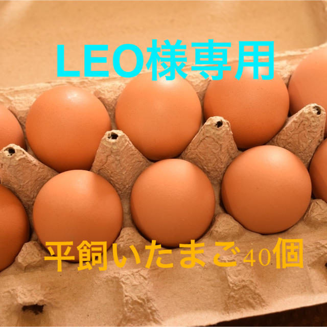  LEO様専用　平飼いたまご40個 食品/飲料/酒の食品(野菜)の商品写真