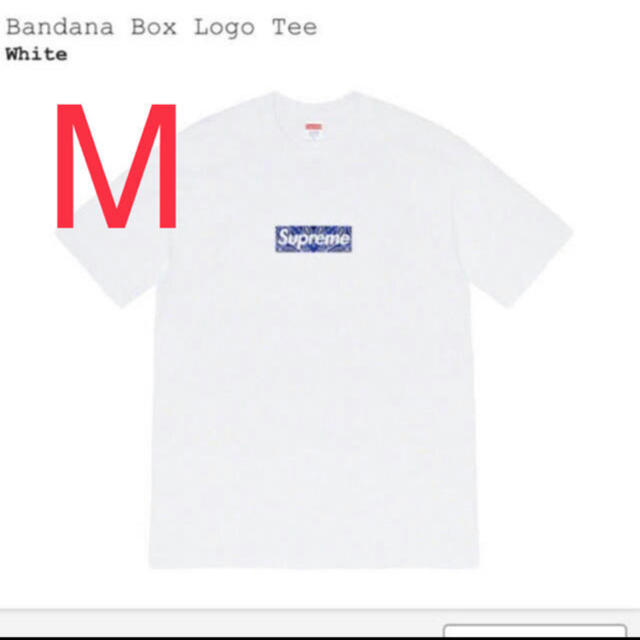 Supreme Bandana Box Logo tee whiteTシャツ/カットソー(半袖/袖なし)