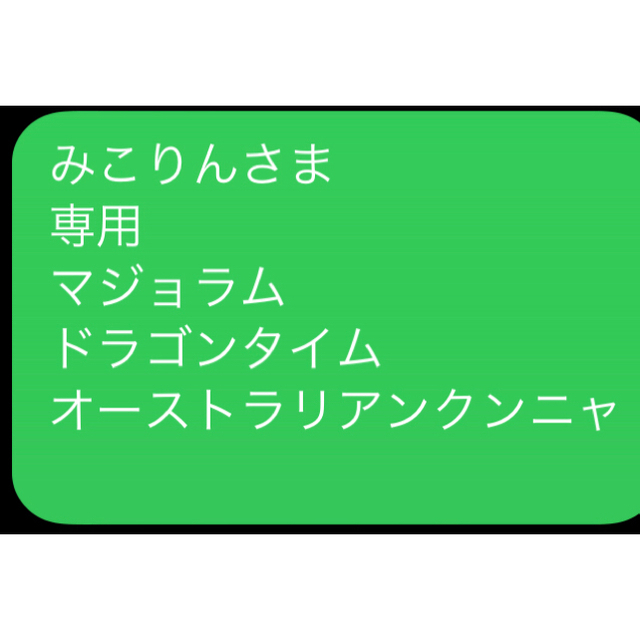 みこりんさま　 専用 マジョラム ドラゴンタイム オーストラリアンクンニャ