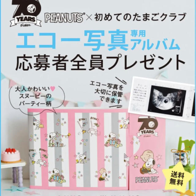 最大66%オフ! サンスター文具 育児 子育て 0071230A 送料無料 妊娠記録