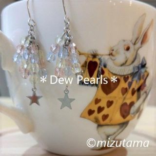 星に願いを イヤーアクセサリー(ピアス)