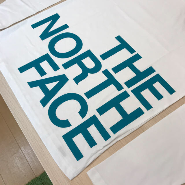 THE NORTH FACE(ザノースフェイス)のS新品THE NORTH FACEザノースフェイス　ロンT長袖Tシャツ日本未発売 メンズのトップス(Tシャツ/カットソー(七分/長袖))の商品写真