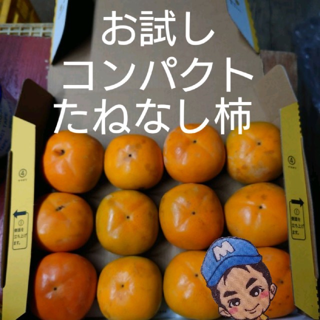 和歌山県産 まーくん家のたねなし柿 お試しコンパクト 食品/飲料/酒の食品(フルーツ)の商品写真