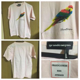 グランドキャニオン(GRAND CANYON)の値下げ GRAND CANYON GDCLittleBirdColor未使用(Tシャツ/カットソー(半袖/袖なし))