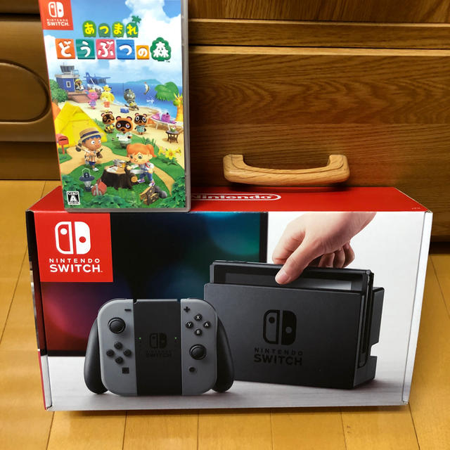 Nintendo Switch JOY-CON グレー 本体  HAC-S-KA