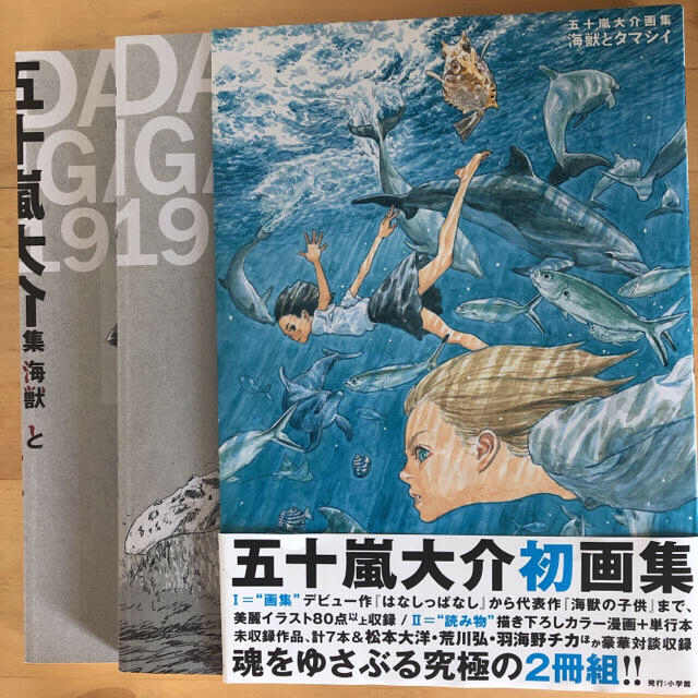 小学館(ショウガクカン)の五十嵐大介画集・海獣とタマシイ (原画集・イラストブック) エンタメ/ホビーの漫画(イラスト集/原画集)の商品写真