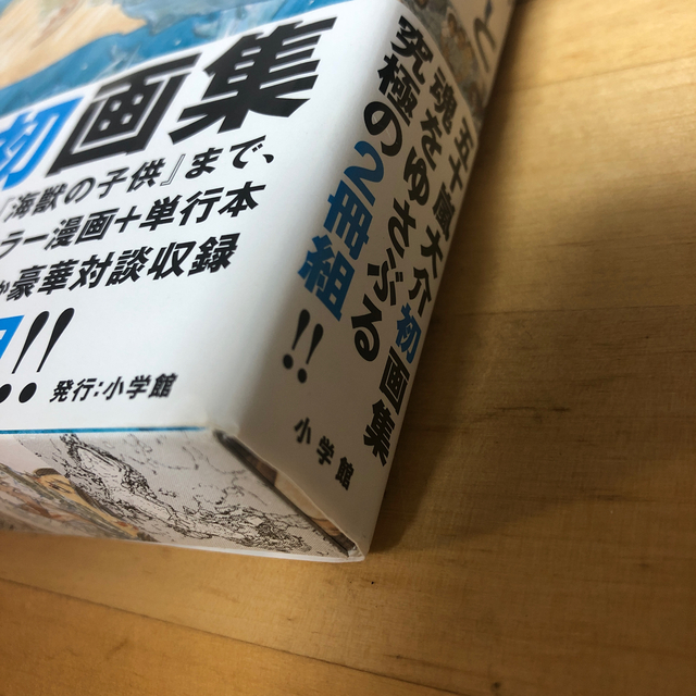 小学館(ショウガクカン)の五十嵐大介画集・海獣とタマシイ (原画集・イラストブック) エンタメ/ホビーの漫画(イラスト集/原画集)の商品写真