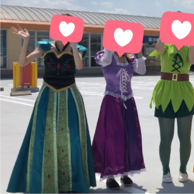 Disney(ディズニー)のアナ　コスプレ　大人用 エンタメ/ホビーのコスプレ(衣装)の商品写真