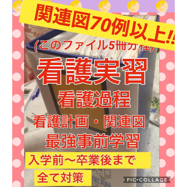 エンタメ/ホビー看護 実習 学生 病院 アセスメント 手順書 関連図 計画 看護過程の展開 国試