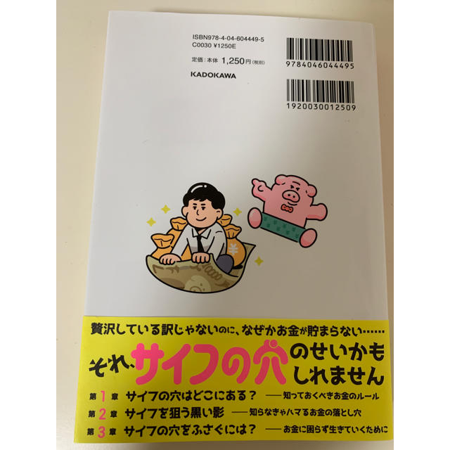 サイフの穴をふさぐには？ 学校も会社も教えてくれない税とお金と社会の真実 エンタメ/ホビーの本(ビジネス/経済)の商品写真