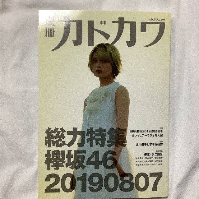 欅坂46(けやき坂46)(ケヤキザカフォーティーシックス)の別冊カドカワ エンタメ/ホビーの雑誌(音楽/芸能)の商品写真