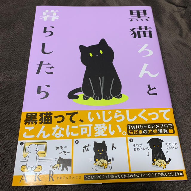 角川書店 黒猫ろんと暮らしたらの通販 By えび カドカワショテンならラクマ 角川書店 黒猫ろんと暮らしたらの通販 By えび カドカワショテンならラクマ
