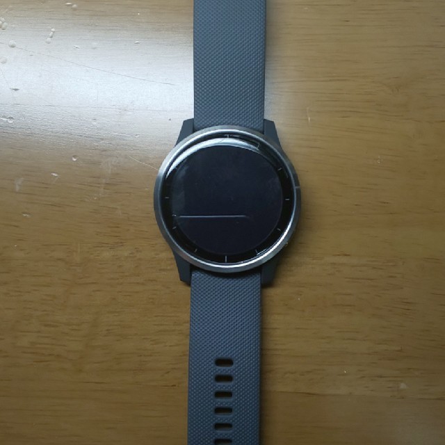 garmin vivoactive4