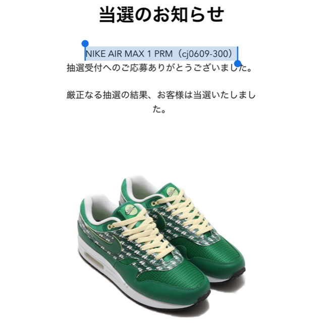 NIKE(ナイキ)のエアマックス1 limeade airmax 　ライムエード メンズの靴/シューズ(スニーカー)の商品写真