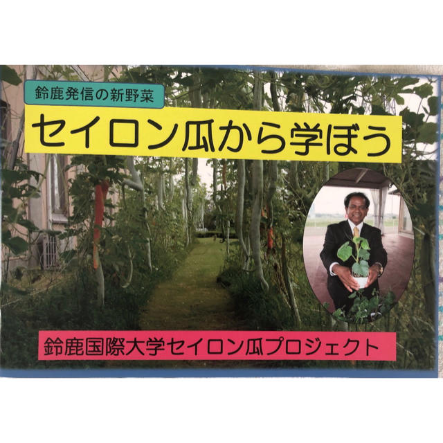 セイロン瓜　種10粒　パトーラ　ヘビウリ  食品/飲料/酒の食品(野菜)の商品写真