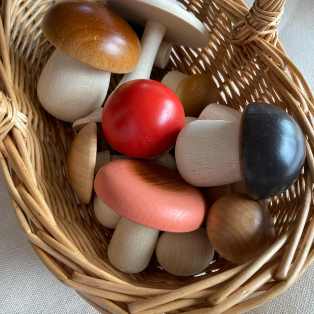 Forest Mushrooms in a box - Moon Picnic