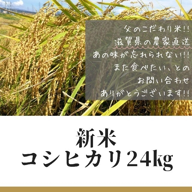 近江米 コシヒカリ 玄米 24kg 食品/飲料/酒の食品(米/穀物)の商品写真