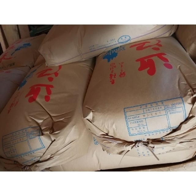 近江米 新米　コシヒカリ 精米 24kg 食品/飲料/酒の食品(米/穀物)の商品写真