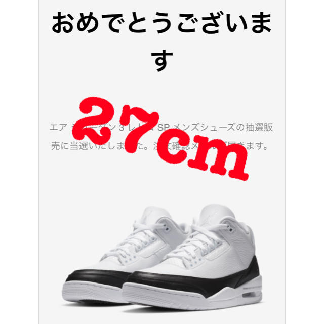 NIKE Air Jordan3×fragment 27.0cm