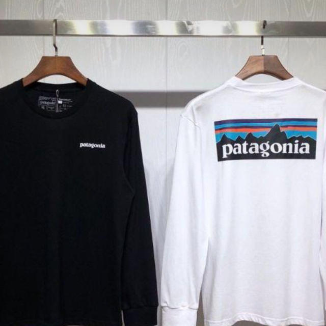 Patagonia Tシャツ　二枚セット