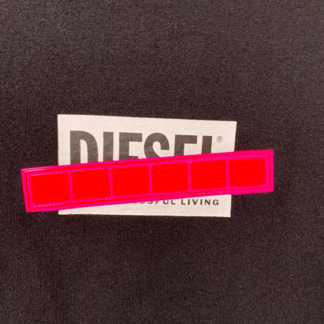 DIESEL BOXロゴ スエット 2