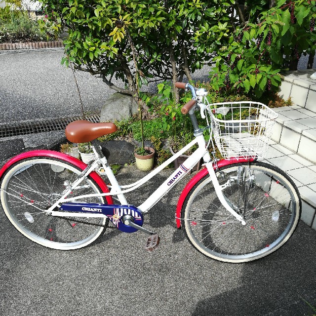 富山 市 自転車