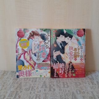 小説セット!!(文学/小説)