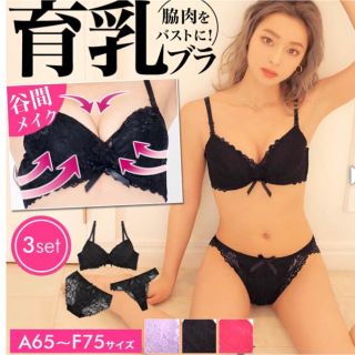 新品未使用　ブラジャー&Tバック&フルバック3点セット(ブラ&ショーツセット)