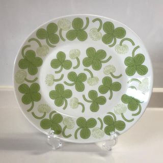 アラビア(ARABIA)の【オリジナル】ARABIA アピラ ディナープレート 25cm④(食器)