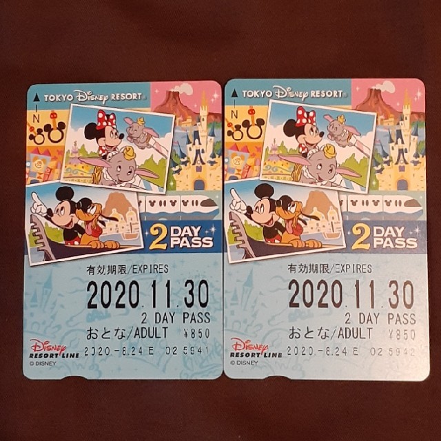 Disney(ディズニー)の【ディズニーリゾートライン】大人2DAY PASS 2枚セット チケットの施設利用券(遊園地/テーマパーク)の商品写真
