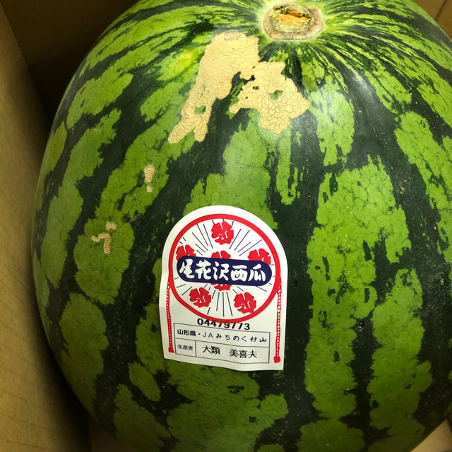 ③山形県産尾花沢スイカ東部4L 食品/飲料/酒の食品(野菜)の商品写真