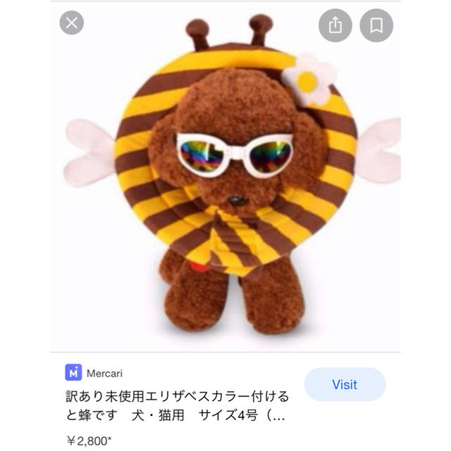 送料無料✨格安‼️やわらか　ペット　エリザベス  カラー　エリザベス カラー その他のペット用品(その他)の商品写真