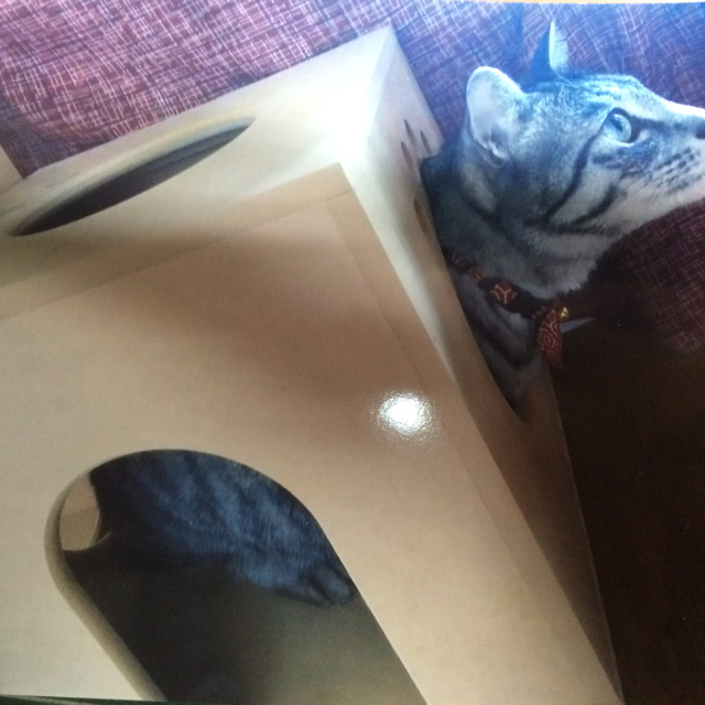 猫の遊び場、キャットボックス猫用品 ハンドメイドのペット(おもちゃ/ペット小物)の商品写真