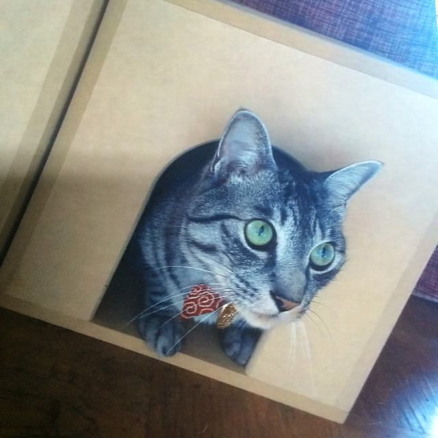 猫の遊び場、キャットボックス猫用品 ハンドメイドのペット(おもちゃ/ペット小物)の商品写真