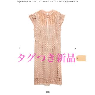 リリーブラウン(Lily Brown)の新品Lily Brown 配色レースミニワンピース(ミニワンピース)