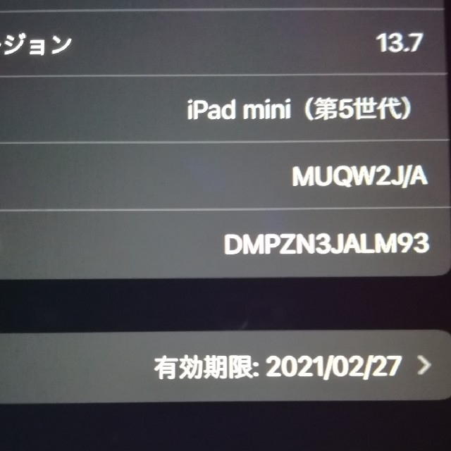 iPad mini 5 第五世代 Wi-Fi 64GB スペースグレイ 美品 2