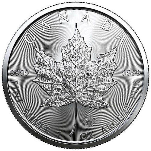 2枚2020年 (新品) 31.1gカナダメイプルリーフ 純銀 コインケース付き