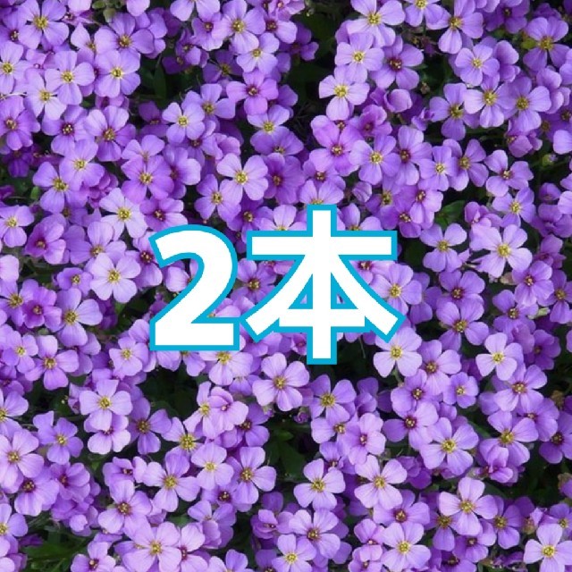 2本